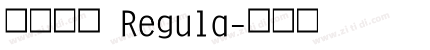 飞花宋体 Regula字体转换